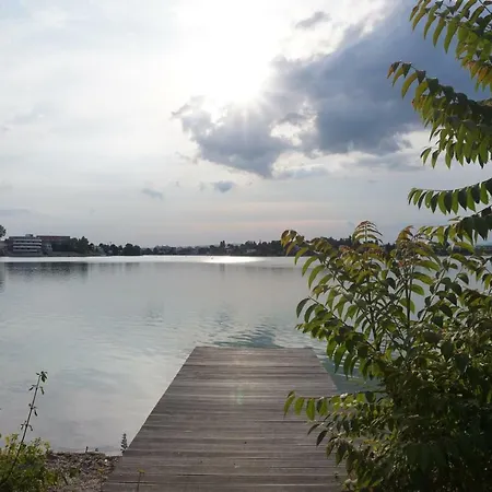 Dolfi, * Senec